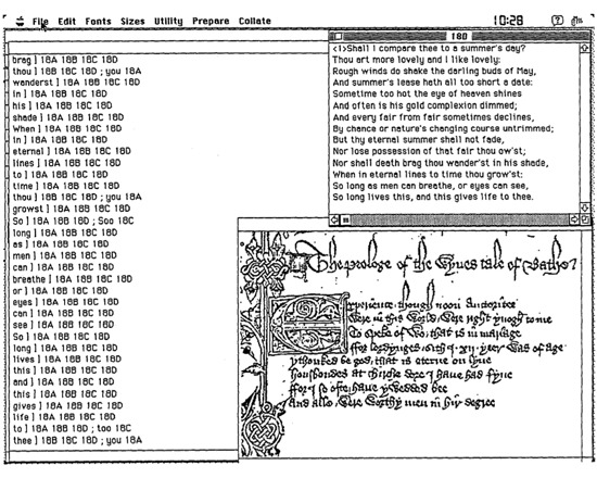 Collate: Interactive Collation of Large Textual Traditions