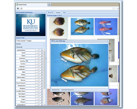 Specify Collections Management Software