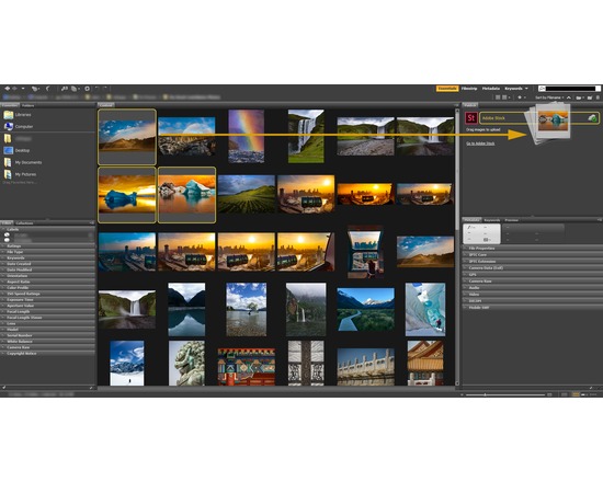 Adobe Bridge